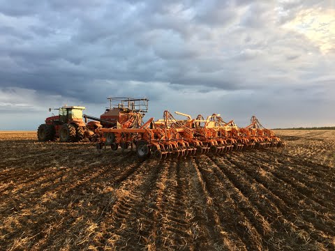 ДЕМОНСТРАЦИОННЫЙ ПОКАЗ ПОСЕВНОГО КОМПЛЕКСА" ПК МУЗА 12.7"